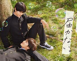 丰台优化型网站建设